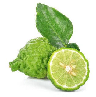 Bergamot