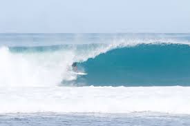Maui Mango Surf