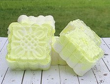 Clear & Fresh Shower Steamers