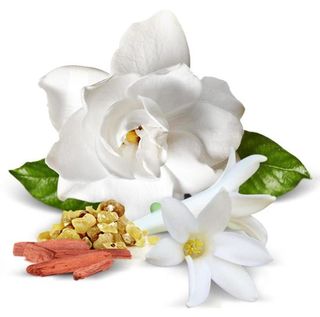 Vintage Gardenia - To be Discontinued